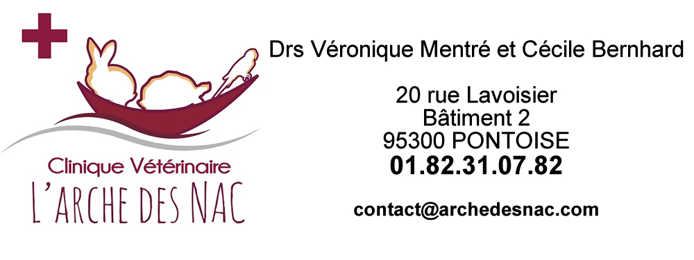 Clinique vétérinaire L'arche des NAC Clinique vétérinaire L'arche des NAC